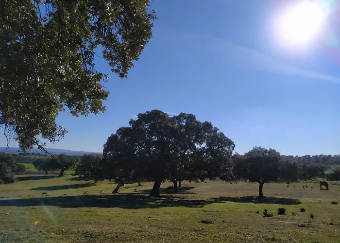 La Teja Del Jerte Сasa de vacaciones